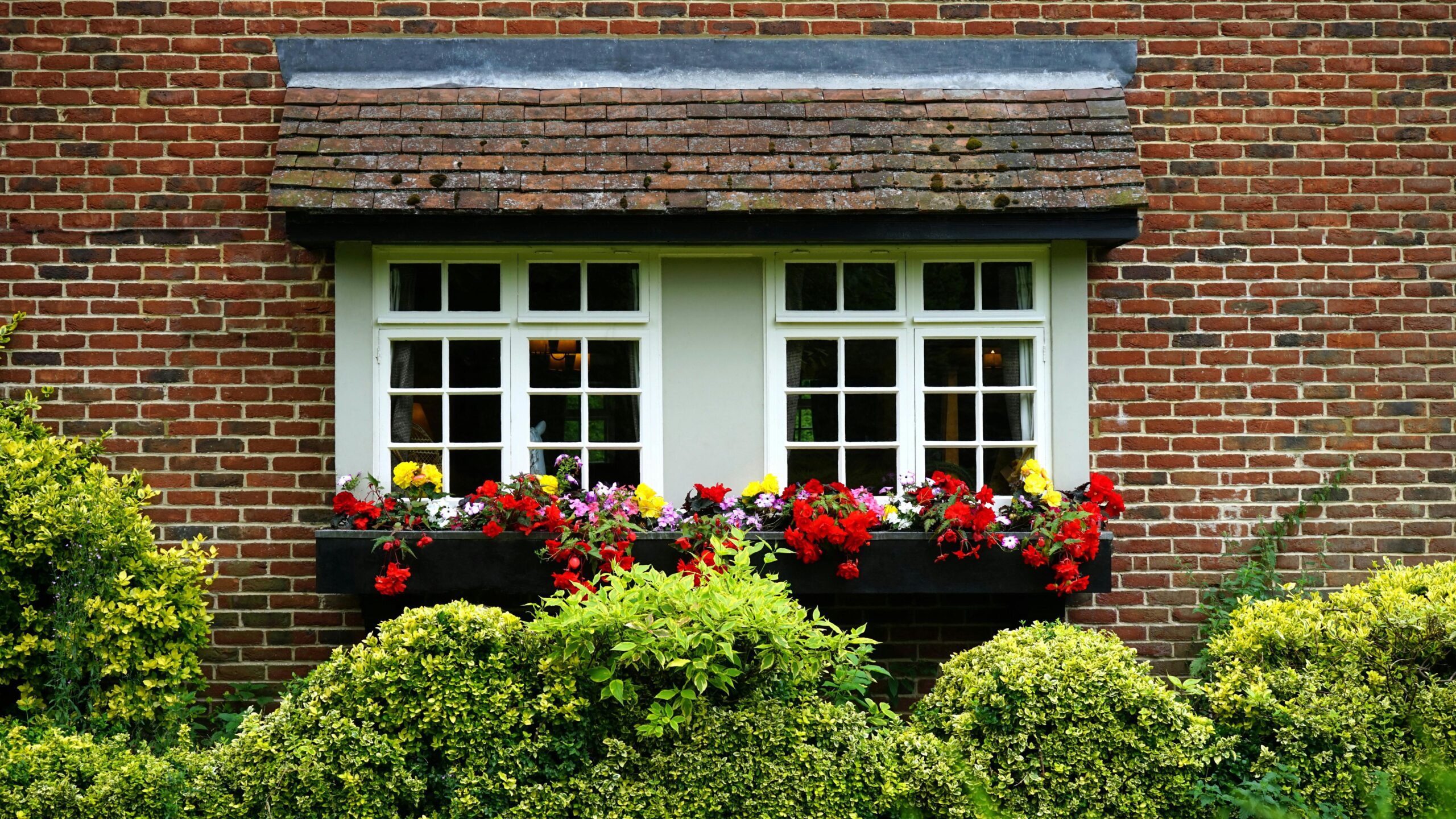 Featured image for the blog Sustainable Home Garden
